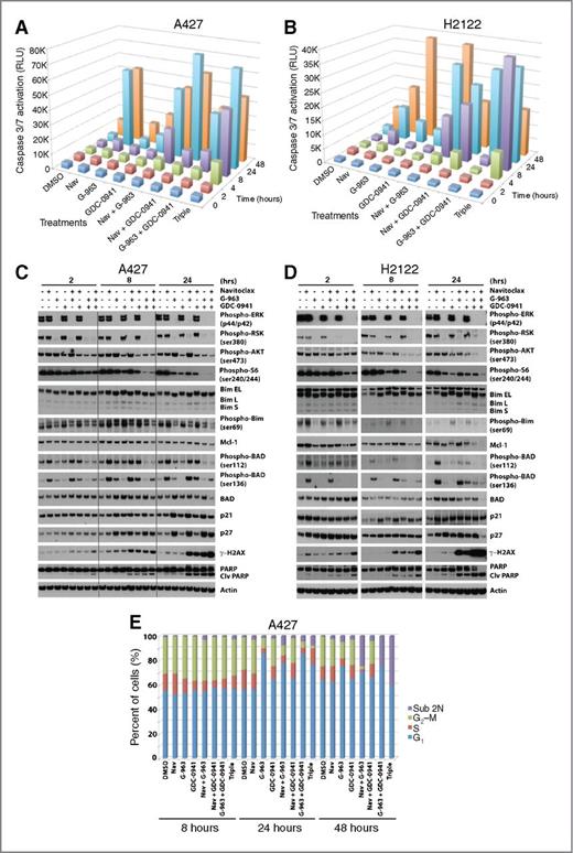 Figure 5. Apoptosis and signaling pathway modulation because of combinations of MEK, PI3 kinase, and Bcl-2/Bcl-xL inhibitors. A427 (A) and H2122 (B) treated with navitoclax (1 μmol/L), G-963 (2 μmol/L), GDC-0941 (1 μmol/L) alone, or in double or triple combinations. Caspase activation was measured using Caspase-Glo 3/7. Western blots of A427 (C) or H2122 (D) cells treated with the indicated agents for 2, 8, or 24 hours. E, DNA content of A427 cells 8, 24, or 48 hours after treatment.