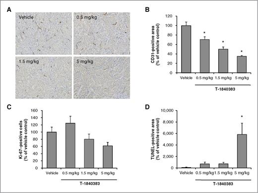 Figure 4. Effects of T-1840383 on tumor microvessel density, tumor cell proliferation, and tumor cell apoptosis in A549 tumors. A, mice bearing A549 tumors were treated with T-1840383 at 0.5, 1.5, and 5 mg/kg/day or vehicle for 3 days. Tumors were fixed, paraffin-embedded, sectioned, and immunostained for CD31. Scale bars, 400 μm. B, quantitative analysis of CD31-positive endothelial cells were conducted. C, tumor specimens were immunostained with anti-Ki67 antibody, and Ki67-positive, proliferating cells were quantified. D, apoptotic tumor cells were visualized and quantified by TUNEL assay. Column, mean (n = 4 or 5); bars, SEM. * P ≤ 0.025 versus the vehicle control group by the one-tailed Williams test.