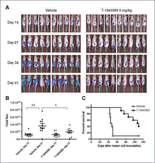 Figure 5. Antitumor efficacy of T-1840383 in a peritoneal dissemination model. A, photon emission from individual mice in which NUGC-4-luc cells had been inoculated intraperitoneally on day 0 was visualized before administration of the first dose of T-1840383 or vehicle (day 14) and over the course of treatment (days 27, 34, and 41). B, emitted bioluminescence from vehicle-treated or 5 mg/kg T-1840383–treated mice at days 14 and 41. C, survival curves of T-1840383–treated NUGC-4–bearing mice. Daily administration (5 days a week) of T-1840383 or vehicle was initiated at day 14 and lasted until the mice were euthanized (up to day 110).