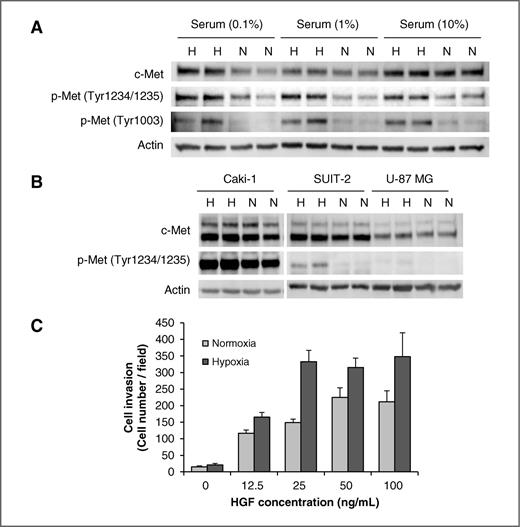 Figure 6. Hypoxia-induced c-Met expression and activation in cancer cells. A, A549 cells were cultured in media containing 0.1%, 1%, or 10% FBS in collagen-type I–coated plates under normoxia or hypoxia (2% O2) for 24 hours. B, Caki-1, SUIT-2, and U-87 MG cells were cultured in appropriate media containing 10% FBS under normoxia or hypoxia (3% O2) for 48 hours. c-Met phosphorylation was determined by Western blotting. C, SUIT-2 cell invasion was stimulated with HGF under normoxia or hypoxia (2% O2) for 72 hours. The invading cells were stained with a Diff-Quik staining kit and quantified. Columns, mean (n = 4); bars, SD.