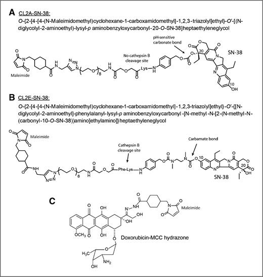 Figure 1. Schematic representation of the CL2A- and CL2E–SN-38 linkers and the doxorubicin linker used to prepare the antibody conjugates.
