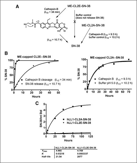 Figure 3. Cleavage of ME-capped CL2A–SN-38 and CL2E–SN-38 derivatives with or without cathepsin-B at pH 5 and conjugates in human serum in vitro. A, the liberation of SN-38 from CL2E linker is a 2-step process, whereas being a 1-step process for CL2A linker. B, drug release kinetics for ME-capped CL2E–SN-38 (left) and CL2A–SN-38 (right). C, in vitro stability of antibody conjugates in human serum at 37°C.