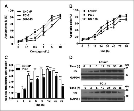 Figure 1. 2-ME induces apoptosis and Hrk activation. A and B, 2-ME induces apoptotic cell death. LNCaP (•), PC-3 (▪), and DU-145 (▴) cells were treated with indicated concentration (A) or 1 μmol/L (B) of 2-ME. Cell death was determined by double staining with Annexin V-FITC and 7-AAD at 48 hours (A) or various time points (B) after 2-ME treatment. C, induction of Hrk mRNA in cells treated with 2-ME for the indicated time interval. Hrk expression determined by quantitative RT-PCR is normalized to GAPDH and values are presented as fold increase relative to Hrk expression in dimethyl sulfoxide (DMSO)-treated cells (0 hours). **, P < 0.01, ***, P < 0.001 compared to 0 hours. D, upregulation of Hrk protein expression as determined by Western blot analysis in cells treated with 2-ME for the indicated time interval.
