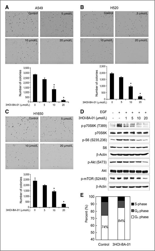 Figure 4. Effects of 3HOI-BA-01 on anchorage-independent growth and mTOR signaling in lung cancer cells. A–C, 3HOI-BA-01 inhibits anchorage-independent growth in a panel of NSCLC cell lines, including A549 cells (A), H520 cells (B), and H1650 cells (C). *, significant (P < 0.01) decrease in colony formation in cells treated with 3HOI-BA-01 compared with the DMSO-treated group. D, 3HOI-BA-01 inhibits mTOR signaling in A549 cells. Cells were starved in serum-free medium for 24 hours and then treated with 3HOI-BA-01 at the indicated concentrations for 2 hours. After stimulation with EGF (20 ng/mL) for 15 minutes, cells were harvested and protein levels were determined by Western blot analysis. E, 3HOI-BA-01 treatment results in G1 cell-cycle arrest. Cell-cycle analysis was conducted on A549 cells treated or not treated with 3HOI-BA-01 (10 μmol/L) for 72 hours. Cell-cycle distribution is labeled on the histogram.