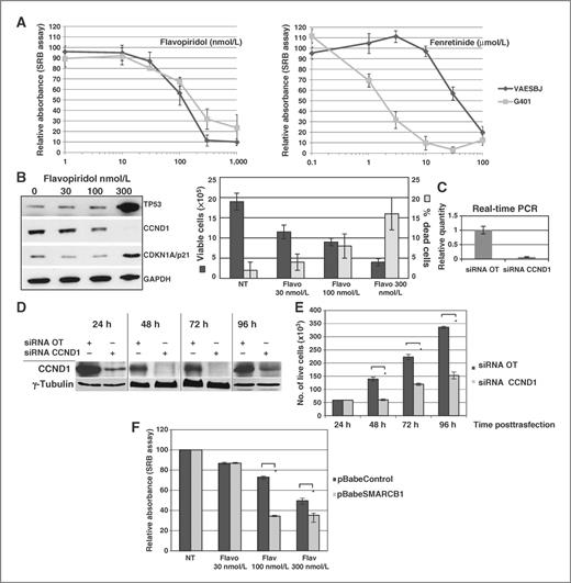 Figure 5. A, cell cytotoxicity assay of flavopiridol (left) and fenretinide (right) treatment in VAES BJ and G401 cell lines. The average ±SD of 3 independent experiments is plotted. B, Western blot analysis of VAESBJ cells treated with increasing doses of flavopiridol for 48 hours, showing upregulation of TP53 and CDKN1A/p21 and downregulation of CCND1 proteins. Concurrent reduction of cell proliferation and increased cell death is evident by Trypan blue exclusion cell counting (one-way ANOVA P < 0.001 and P = 0.008, respectively). C, efficient CCND1 mRNA downmodulation by siRNA transfection as assayed by quantitative RT-PCR 24 hours posttrasfection. D, efficient CCND1 protein silencing by siRNA transfection as assayed by Western blot analysis at different time-points posttrasfection. E, the siRNA CCND1-induced cell proliferation reduction is evident by Trypan blue exclusion assay (2-way ANOVA P = 0.006). F, increasing doses of flavopiridol differentially reduced cell proliferation in control and SMARCB1 reexpressing VAESBJ cells. B–F, graphs display average ±SD of one representative out of 3 independent experiments. *, P < 0.05 by 2-tailed unpaired Student t test.