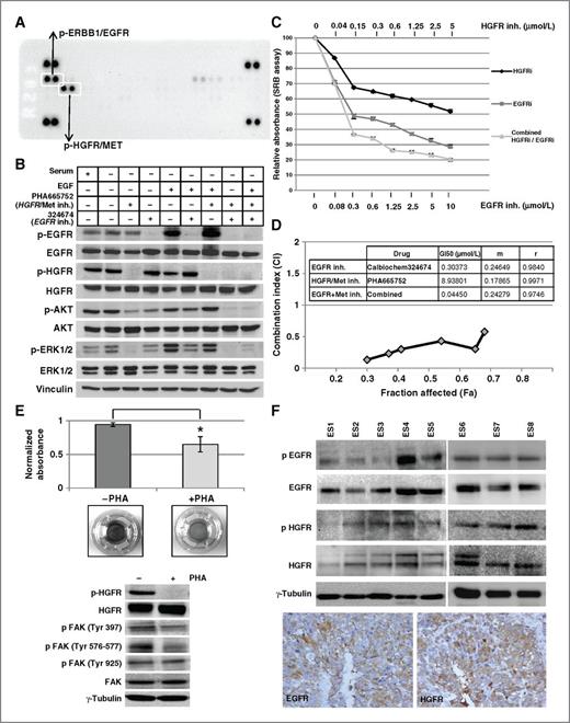Figure 6. A, phospho–protein array analysis of VAESBJ cell line, showing significant expression of activated/phosphorylated ERBB1/EGFR and HGFR/MET but not other receptor kinases investigated. B, Western blot analysis of protein expression in VAESBJ cell line, showing that both activated EGFR and HGFR/MET impinge on AKT and ERK phosphorylation. C, sulphorodamine-B cell cytotoxicity assay showing dose–response plots of EGFR inhibitor 324674, HGFR/MET inhibitor PHA665752, and combined treatment with both inhibitors. D, combination index (CI) plot showing synergism (CI<1) of EGFR inhibitor 324674 and HGFR/MET inhibitor PHA665752 at all doses of combined treatments tested. E, reduction of migration capability upon treatment with HGFR/MET inhibitor PHA665752 (*, P = 0.012 by 2-tailed unpaired Student t test). F, evidence of EGFR and HGFR/MET expression and activation in epithelioid sarcoma tumor samples by Western blot and immunohistochemistry.