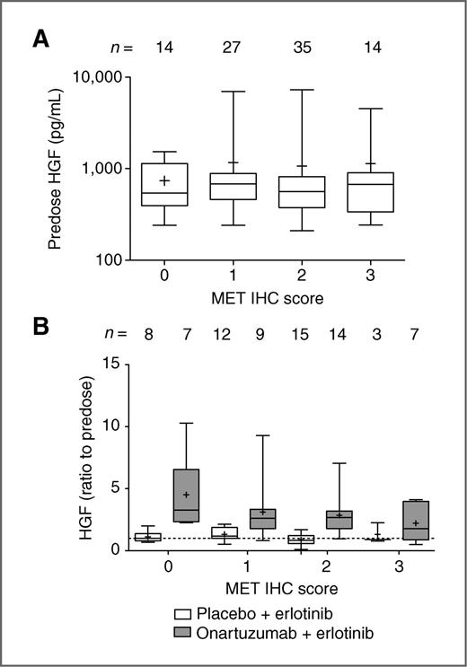 Figure 4. There is no relationship of cHGF and Met expression at either baseline or change from baseline in response to onartuzumab administration. A, predose cHGF measurements were evaluated in each of the IHC defined Met expression level groups (0, 1+, 2+, or, 3+). Numbers of samples in each group are set in parenthesis. Whisker plots are displayed with 5 to 95 percentile ranges. Bars represent the median and + represents the average. There is no statistical significant difference of cHGF at baseline between the Met expression groups. B, pharmacodynamic measurements of cHGF as a change from predose levels, represented as a ratio, from both the placebo/erlotinib and onartuzumab/erlotinib treatment arms are plotted relative to Met IHC measurements. Neither comparison met statistical significance.