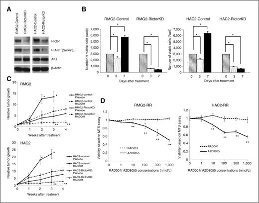 Figure 5. Inhibition of mTORC2 prevents CCC cells from acquiring resistance to RAD001. A, establishment of CCC cell lines stably transfected with control shRNA or Rictor shRNA. Note that knockdown of Rictor results in decreased AKT activity. B, inhibition of mTORC2 activity prevents CCC cells from acquiring resistance to RAD001 in vitro. CCC cells stably transfected with control shRNA or Rictor shRNA were seeded into 96-well plates at a density of 3 × 103/well. The cells were then treated with 100 nmol/L RAD001 in the presence of 5% FBS. Cell growth was examined at day 3 and 7 by cell counting as described in Materials and Methods, and the results are shown. Points, mean; bars, SD (*, P < 0.05). C, inhibition of mTORC2–AKT activity during the course of RAD001 treatment prevents CCC cells from acquiring resistance to RAD001 in vivo. Athymic nude mice inoculated with CCC cells were administered placebo or 2.5 mg/kg RAD001 every 2 days for 4 weeks. Graphs depict weekly tumor volumes (mm3) for each treatment group. Points, mean; bars, SD (*, **, significantly different from the RAD001-treated or Rictor shRNA-transfected tumors; P < 0.05). D, effect of AZD8055 on proliferation of RAD001-resistant CCC cells in vitro. RAD001-resistant (RMG2-RR and HAC2-RR) cells were treated with the indicated concentrations of AZD8055 or RAD001 in the presence of 5% FBS for 72 hours. Cell viability was assessed by MTS assay. Points, mean; bars, SD (**, P < 0.01).