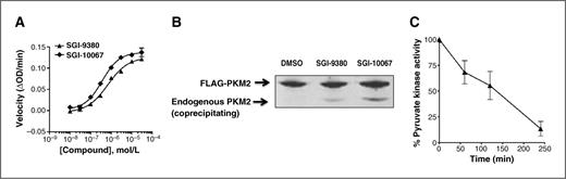 Figure 3. Cell-based activity of PKM2 activators. A, pyruvate kinase activity (velocity) in A549 cells treated with increasing doses of SGI-9380 (closed triangles) or SGI-10067 (closed diamonds) in the presence of 1% DMSO. B, coimmunoprecipitation of FLAG-PKM2 and endogenous PKM2 induced by PKM2 activators SGI-9380 and SGI-10067. HEK-293 cells stably transfected with FLAG-PKM2 were treated with PKM2 activator compounds (10 μmol/L) for 3 hours, washed, lysed, and immunoprecipitated using FLAG-M2 agarose beads. Immunoprecipitated proteins were separated by SDS gel electrophoresis followed by Western blotting using anti-PKM2. C, percentage of pyruvate kinase activity in A549 cells as a function of time after SGI-9380 (469 nmol/L) was removed from cells by washing (relative to time 0).