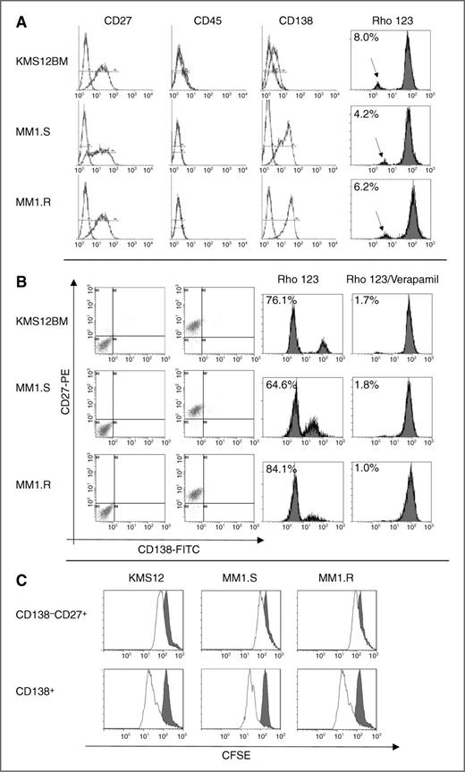 Figure 1. Characterization of multiple myeloma cell lines. A, phenotypic and functional characterization before magnetic separation: histograms represent KMS12BM, MM1.S, and MM1.R cell lines after staining using the fluorochrome-labeled CD27, CD45, and CD138 antibodies and the corresponding isotype controls (dashed line; left). Histograms represent Rho 123 efflux, indicating functional activity of Pgp transporter in the side population (SP; indicated by arrow) and non-SP cells (right). B, phenotypic and functional characterization of magnetically separated myeloma stem-like cells: dot plots represent CD27 and CD138 expression and the corresponding isotype control (left). Histograms represent Rho 123 efflux in isolated CD27+CD138− cells in the absence and presence of verapamil (right). C, CFSE staining analysis of CD138+ and CD138−CD27+ multiple myeloma cells after a 7-day period of incubation (gray peak represents cells on day 0, white peak represents cells on day 7). Data are representative of 3 independent experiments.