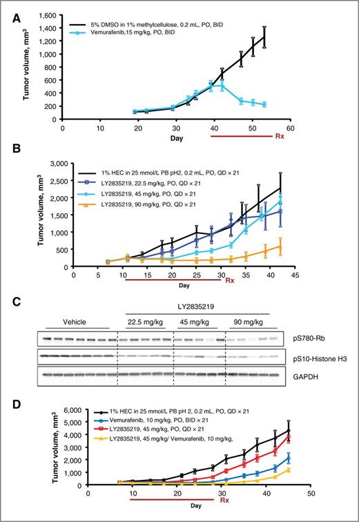 Figure 2. Antitumor activity of vemurafenib and LY2835219 in A375 xenograft model. A, antitumor activity of vemurafenib in A375 xenografts. Mice bearing subcutaneous A375 tumors were dosed with vehicle (n = 8) or 15 mg/kg vemurafenib (n = 10) twice daily. The y-axis is mean tumor volume ± SEM. B, antitumor activity of CDK4/6 inhibitor LY2835219 in A375 xenograft model. Mice bearing subcutaneous A375 tumors were dosed with vehicle (n = 7), 22.5 mg/kg (n = 5), 45 mg/kg (n = 5), or 90 mg/kg (n = 5) LY2835219 once daily for 21 days. C, dose-dependent reduction of CDK4/6 activity in A375 xenograft tumors by LY2835219. Mice bearing subcutaneous A375 tumors were dosed with vehicle, 22.5, 45, or 90 mg/kg of LY2835219 once daily. Tumors were collected 24 hours after the third dose. Tumor lysates were prepared and analyzed by immunoblotting using indicated antibodies. D, activities of LY2835219, vemurafenib, and their combination in A375 xenograft model. Mice bearing subcutaneous A375 tumors were dosed for 21 days with either vehicle (n = 8), 45 mg/kg LY2835219 (n = 8), 10 mg/kg vemurafenib (n = 8), or combination of 45 mg/kg LY2835219 and 10 mg/kg vemurafenib (n = 8). LY2835219 was dosed once daily and vemurafenib was dosed twice daily The brown line below the x-axis indicates the dosing (Rx) period in all studies. The y-axis is mean tumor volume ± SEM. The pairwise comparisons of each treatment versus control are all statistically significant (P < 0.001). The tests between the combination group and each single agent group are also statistically significant (P < 0.001). The P value for the 2-way interaction to determine whether combinations are different from additive is not statistically significant (P = 0.657), thus indicating that the combination of these 2 agents is additive rather than synergistic.