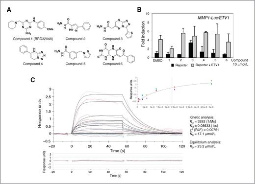 Figure 1. Identification of BRD-K77432048 as a direct ETV1 binder. A, structures for 6 SMM assay positives are shown (see text for details). B, 501mel cells were cotransfected with ETV1- or MMP1-driven firefly luciferase and treated with 10 μmol/L BRD32048 or DMSO for 24 hours. The fold induction of Firefly signals were normalized to Renilla luciferase and divided by the reporter only/DMSO control. C, HEK293F-purified ETV1-FLAG and TBX21-FLAG were captured onto M2 αFlag antibody surface for SPR studies (see text). Compound solution was injected at increasing concentrations from 0.78 to 50 μmol/L. RU are corrected for solvent variations and referenced to TBX21 surface. The sensorgram was fitted using a 1:1 Langmuir model and the steady-state equilibrium uses the RU values at 5 seconds before the end of compound injections. Included is the kinetics residual plot as well as the statistical kinetic parameters values for Ka, Kd, and χ2.