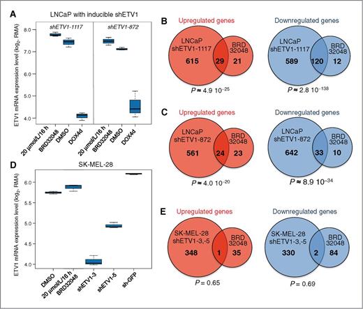 Figure 2. Comparisons between ETV1 and BRD32048 gene expression signatures. A, ETV1 mRNA levels in LNCaP.sh1117 and LNCaP.sh872 cells treated with doxycycline (ETV1 shRNAs), DMSO, or BRD32048. shETV1-induced signature and 20 μmol/L BRD32048-induced signature generated in LNCaP.sh1117 (B) and LNCaP.sh872 (C) are intersected for the upregulated genes and downregulated genes. D, ETV1 mRNA levels in SK-MEL-28 cells expressing shGFP, shETV1-3, or shETV1-5 and treated with DMSO or BRD32048. E, the combined signature induced by shETV1-3 and shETV1-5 was intersected with the 20 μmol/L BRD32048-induced signature for the upregulated genes and downregulated genes. The P value (see Materials and Methods) for each comparison is included.
