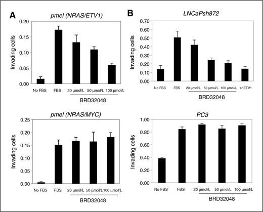 Figure 3. Effects of BRD2048 on tumor cell invasion. A, invasion of primary melanocytes, coexpressing NRASG12D with either ETV1 or MYC, was measured in invasion chambers after 24 hours in the presence of DMSO or BRD32048 at the indicated concentrations. B, invasion of LNCaP (shETV1-872) and PC3 cells was measured as indicated above. LNCaP cells were also treated with doxycycline for 4 days to express the shETV1-872.