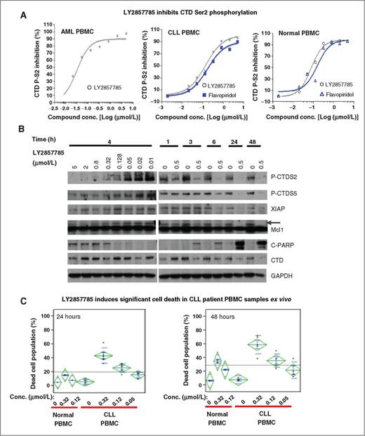 A Novel CDK9 Inhibitor Shows Potent Antitumor Efficacy in Preclinical