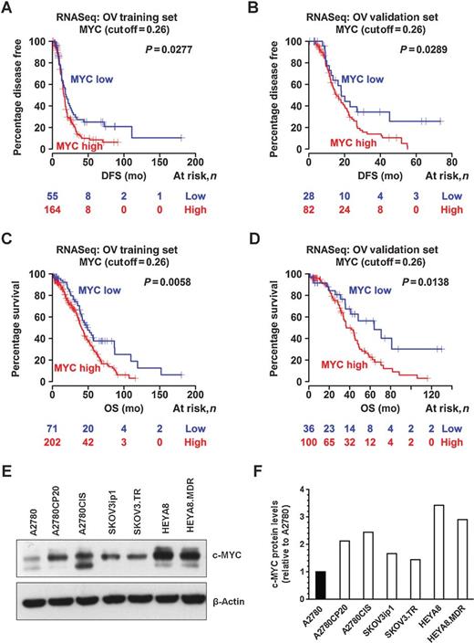 Figure 1. Expression of c-MYC in ovarian cancer cells and human tumors. Level 3 Illumina RNASeq “gene.quantification” files were used to extract MYC expression. Statistical analysis of c-MYC mRNA expression and clinical data from patients with high-grade serous ovarian cancer showed that the DFS (A and B), and the overall survival (OS; C and D), were significantly reduced for patients with higher c-MYC expression levels. E, Western blot analysis of ovarian cancer cells was performed as described in Materials and Methods. β-Actin was used as a loading control. F, densitometric analysis of the intensities of the bands shown in E. Fold changes in protein levels were calculated relative to A2780 cisplatin-sensitive cells.