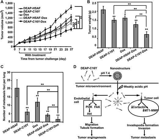 Figure 6. Antitumor efficacy of DEAP–C16Y–Dox nanostructures. A, mice bearing 4T1 tumors were treated with indicated formulations every third day (peptide concentration: 6.5 μmol/kg; doxorubicin concentration: 5 μmol/kg). Tumor volume was calculated every other day. B, weight of 4T1 tumors in A on day 27. C, number of metastatic foci per lung from mice in A was quantified; *, P < 0.05; **, P < 0.01 compared with the DEAP–HSAF group. D, proposed antitumor mechanism of DEAP–C16Y nanostructures.