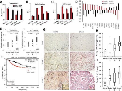 Figure 6. Overexpression of RRM2 is associated with higher migratory and invasive properties. Didox inhibits (A) cell motility, (B) cell migration, and (C) cell invasion in MCF-7/R2.1 cells. D, fold gene change is shown as significantly repressed (negative) or induced (positive) with or without didox in MCF-7/R2.1 cells. E, overexpression of RRM2 is correlated with higher tumor grade. F, KMplots demonstrate that higher RRM2 in tamoxifen-treated ER-positive patients is correlated with decreased DMFS (P = 0.00021). G, RRM2 and ERα36 levels increase with tumor grade on a TMA. RRM2 (H) and ERα36 (I) H-scores increase with tumor grade (ANOVA; P < 0.0003 and P < 0.0023, respectively).