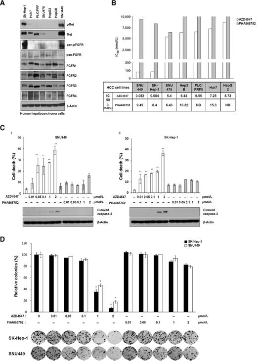 Figure 1. Effects of MET or pan-FGFR inhibitor on HCC cell lines. A, expression levels of phospho-MET and phospho-FGFR were evaluated by Western blotting of extracts of HCC cell lines with anti-pMET or pFGFR antibodies. β-Actin was used as a loading control. B, various HCC cell lines were seeded in 96-well plates and treated with a MET inhibitor (PHA665752) or a pan-FGFR inhibitor (AZD4547). After incubation for 72 hours, MTS assays were performed. C, differential effects of the MET inhibitor (PHA665752) or pan-FGFR inhibitor (AZD4547) on SNU449 and SK-HEP-1 cells. SNU449 (i) and SK-HEP-1 (ii) cells were treated with different concentrations of PHA665752 or AZD4547 for 48 hours. Cell death was determined using the trypan blue dye exclusion assay. Cells were harvested and analyzed by Western blotting using antibody against cleaved caspase-3. β-Actin was used as a loading control. The graphs present the mean ± SD of three separate experiments performed in triplicate; *, P < 0.05; **, P < 0.01. D, colony formation assays were performed using SNU449 and SK-HEP-1 cell lines treated with the indicated concentrations of PHA665752 or AZD4547 (top). Data, mean ± SD. Representative images are shown (bottom); *, P < 0.05.