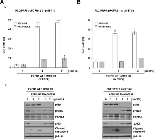 Figure 5. Effect of the expression of MET and FGFR1 or FGFR2 on the sensitivity of the MET inhibitor in p-FGFR and p-MET double-negative human HCC cells. A, PLC/PRF5 cells were transfected with FGFR1 and MET T1191I-expressing plasmids for 24 hours and treated with bFGF (basic fibroblast growth factor) at 20 ng/mL and AZD4547, a pan-FGFR inhibitor, or PHA665752, a specific MET inhibitor, at the indicated concentrations for another 48 hours. Cell death was determined using the trypan blue dye exclusion method. The column and error bars represent the mean ± SD; ***, P < 0.001. Cell lysates were prepared for Western blot analyses using antibodies directed against FGFR1, phospho-FRS2, phospho-MET, and cleaved caspase-3; β-actin was used as loading control. B, cells were cotransfected with FGFR2 and MET T1191I constructs for 48 hours, treated with bFGF at 20 ng/mL, and AZD4547 or PHA665752 at the indicated concentrations for an additional 48 hours. The population of dead cells was evaluated by the trypan blue exclusion assay. The column and error bars, mean ± SD; **, P < 0.01. Cell lysates were prepared for Western blot analyses using antibodies directed against FGFR2, phospho-FRS2, phospho-MET, and cleaved caspase-3; β-actin was used as loading control.