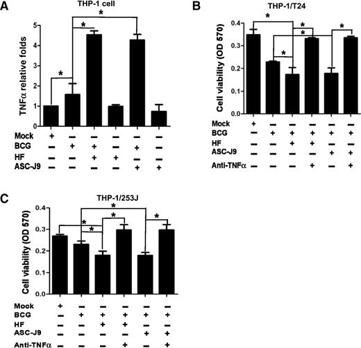 Figure 3. Monocytes/macrophages recruitment to bladder cancer cells under BCG plus ASC-J9/HF treatment leads to decreased proliferation of bladder cancer cells through TNFα production. A, 106 THP-1 cells were cultured in 6-well plates, treated with BCG, HF, or ASC-J9 only, BCG+ASC-J9, or BCG+HF for 48 hours, The different conditioned media were collected to detect TNFα production by ELISA. B and C, the above conditioned media were used to treat T24 and 253J cells cocultured with THP-1 cells and cell viability was detected by MTT. Each experiment was performed in triplicate; *, P < 0.05 (Student t test).