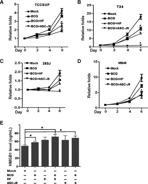 Figure 4. HF and ASC-J9 potentiate the antitumor effects of BCG in vitro. A–E, four different bladder cancer cells were seeded in the 24-well plates, treated with Mock, BCG, HF, ASC-J9, or BCG plus HF or ASC-J9 as indicated in the figures. Then the cells were collected for MTT assays (A–D). E, the conditioned media from treated cells were collected and used to detect HMGB1 release by ELISA; *, P < 0.05 (Student t test).