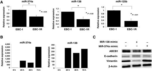 Figure 3. miR-138 was involved in the resistance of EBC-1 cells to PHA-665752. A, expression of miR-374a, miR-138, and miR-125b was decreased in EBC-1R cells on qRT-PCR. B, miR-374a or miR-138 was overexpressed after treatment with miR-374a mimic or miR-138 mimic, respectively, in EBC-1R cells from 24 to 72 hours on qRT-PCR. C, treatment of EBC-1R cells with miR-138 mimic reduced ABCB1 expression, resulting in increased E-cadherin and decreased vimentin expression on Western blotting.