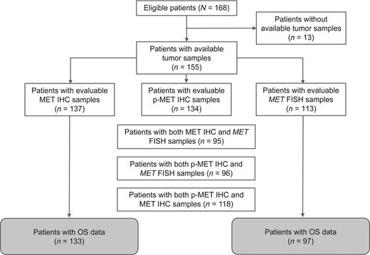 Figure 1. Patient flow diagram. Eligible patients had unresectable locally advanced or metastatic gastric or gastroesophageal junction cancer. Tumor samples were obtained by biopsy, prior to chemotherapy.