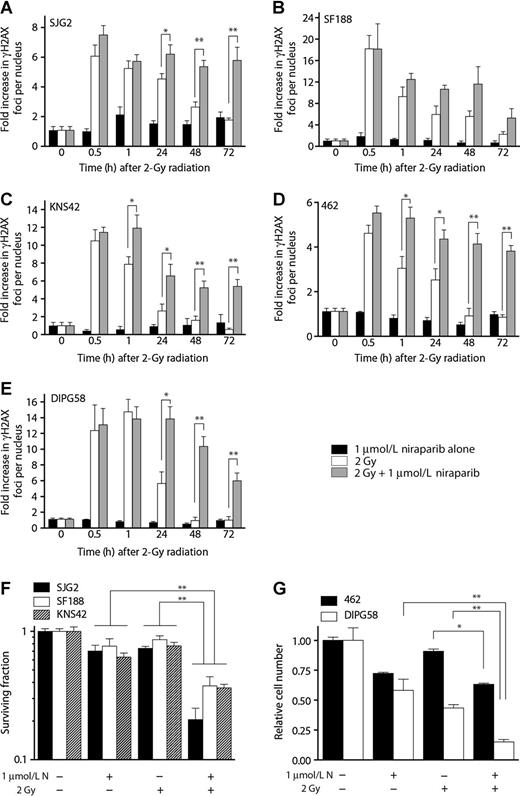 Figure 3. Low doses of niraparib reduce the rate of DNA repair and sensitize pHGA and DIPG to IR. A–E, quantification of immunofluorescent staining for γH2AX in SJG2, SF188, KNS42, 462, and DIPG58 cells after incubation with 1 μmol/L of niraparib, 2 Gy of IR alone or in combination with 1 μmol/L niraparib administered 6 hours prior to radiation. Results are depicted as fold increase in γH2AX foci per nucleus relative time zero. F, clonogenic survival of SJG2, SF188, and KNS42 cells at day 14 after 1 μmol/L of niraparib, 2 Gy of IR alone or in combination with 1 μmol/L niraparib administered 6 hours prior to radiation. G, total trypan blue cell counts of 462 and DIPG58 cells on day 14 after 1 μmol/L of niraparib, 2 Gy of IR alone or in combination with 1 μmol/L niraparib administered 6 hours prior to radiation. *, P < 0.05; **, P < 0.01. Error bars, SEM.