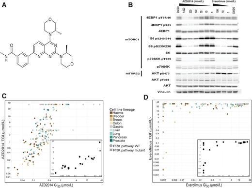 Figure 1. Structure, biochemical, and cellular activity of AZD2014. A, chemical structure of AZD2014. B, immunoblotting analysis of AZD2014 activity against mTOR substrates in MCF7 cells. C and D, cell proliferation activity in a panel of cell lines. Multiple tumor types are represented in the main graph, whereas breast cancer cell lines are represented in the insert. GI50 (the concentration decreasing cell number by 50% compared with untreated cells) and TGI (the concentration at which there is no net growth) are plotted on the x and y axis, respectively. Different cell lineages are represented by colors and cell lines that harbor a mutation in the PI3K pathway are indicated with a cross.