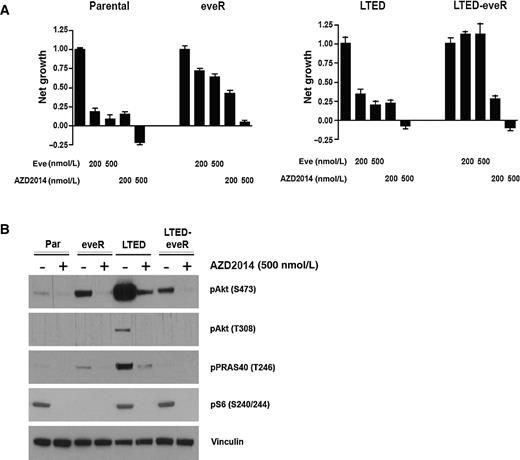 Figure 2. HCC1428-eveR and HCC1428-LTED-eveR cell lines resistant to everolimus remain sensitive to mTORC1/2 inhibitor AZD2014. A, proliferation of HCC1428 parental (Parental), eveR, LTED, and LTED-eveR cells. Five days after treatment of the indicated compounds, cell density was measured by CellTiterGlo assay. B, immunoblotting analysis of the indicated HCC1428 derivatives, 6 hours after treatment with AZD2014.