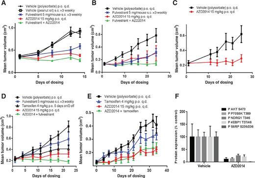 Figure 3. Activity of AZD2014 in a number of in vivo models. A to E, in vivo activity of AZD2014 alone or in combination with endocrine therapy. Animals were treated as indicated. A, MCF7 xenografts (SCID mice); B, HCC1500 xenografts (SCID-beige mice); C, BR0555 xenografts (NSG mice); D, CTC174 xenografts (NSG mice); E, HBCx3 xenografts (Male nude mice, Foxn1nu). F, ex vivo analysis of the activity of AZD2014 in MCF7 xenografts. AZD2014 was administered at 15 mg/kg. Samples were collected 4 hours after the last dose, following 3 days of treatment, before immunoblotting.