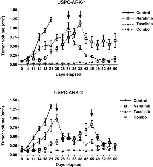 Figure 4. In vivo treatment of USPC-ARK-1 and USPC-ARK-2. Mice were treated with vehicle control (0.5% methylcellulose-0.2% Tween 80), neratinib (40 mg/kg), taselisib (10 mg/kg), or the combination for 60 days. Measurements are reported as mean ± SEM. Top, graph showing a statistically significant difference in tumor growth of USPC-ARK-1 between the control group and the treated groups; bottom, graph showing a statistically significant difference in tumor growth of USPC-ARK-2 between the control group and the treated groups. The arrows denote the time point in which we started the combination treatment in single-agent–resistant mice.