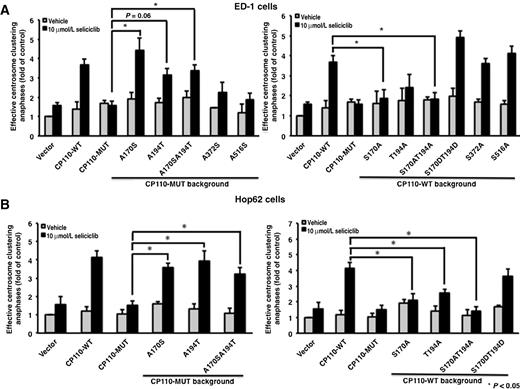 Figure 3. Effects of Ser 170 and Thr 194 CP110 phosphorylation sites on centrosome clustering when independently challenged with a CDK2 inhibitor in murine and human lung cancer cells. ED-1 (A) and Hop62 (B) cells were transfected with (left) the CP110-MUT expression vector with indicated phosphorylation sites restored to wild-type residues or (right) the CP110-WT expression vector or with a vector having the indicated phosphorylation sites replaced with alanine or aspartic acid. Twenty-four hours after transfection, cells were treated with seliciclib (10 μmol/L) for 24 hours and fixed and scored for effective centrosome clustering. All experiments were independently replicated at least three times.