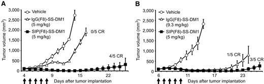 Figure 3. Therapeutic activity of SIP(F8)-SS-DM1 and IgG(F8)-SS-DM1 against F9 teratocarcinoma. ADCs were used at equimilligram doses (A) or equimolar doses (B). When tumors reached an average of 100 mm3 of volume, mice were randomly grouped and intravenously injected during 5 consecutive days (arrows) with the vehicle (), IgG(F8)-SS-DM1 () at 5 and 9.3 mg/kg, or SIP(F8)-SS-DM1 () at 5 mg/kg. Data represent mean tumor volume (±SEM), n = 5 mice per group.