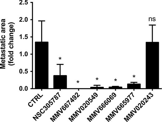 Figure 4. Inhibition of osteosarcoma metastatic growth in lung organ culture by selected hits from the MMV400 library. GFP-positive K7M2 osteosarcoma cells were delivered to three BALB/C mice by tail-vein injection, and the lungs were dissected. Two lung sections from each of the three animals (in total six lung sections per treatment) were grown in culture media, and metastatic progression was monitored using a fluorescence microscope. 10 μmol/L of the anti-ezrin compound NSC305787 and 30 μmol/L of antimalarial compounds were added to the culture media at day 0 of the culture period. Images were acquired at day 8 and the area of fluorescence signal in each section was quantified. Data represent fold change in fluorescent area at day 8 of drug-treated lung sections as compared with vehicle-treated control and is shown as mean ± SD of total six lung sections from three mice. *, P < 0.05 compared with control; ns, not significant; using a Student unpaired t test.