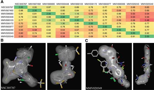 Figure 6. Structural and shape comparison of identified ezrin inhibitors from the MMV400 library. A, a heat map was generated based on the combined shape complementarity and chemical Tanimoto score as calculated by the OpenEye software ROCS (36). A score of 2 for a molecule represents 100% identity in shape and chemical properties. B, overlay of all inhibitors based on the shape of NSC305787 in gray in two views rotated by 90 degrees to each other. C, overlay of all inhibitors based on the shape of MMV020549 in gray in two views rotated by 90 degrees to each other.