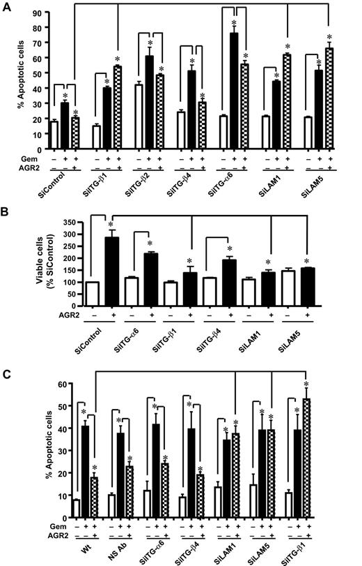 Figure 4. Effects of AGR2 are mediated by C4.4A interacting with integrin β1 and laminin 1 or laminin 5. A, in SiControl AsPC-1 cells, Gem stimulated apoptosis and addition of rAGR2 inhibited this effect. AsPC-1 cells were also transfected with siRNAs against ITG-β1, ITG-β2, ITG-β4, ITG-α6, laminin 1, and laminin 5. Only silencing of laminins 1 and 5 and integrin β1 increased Gem-stimulated apoptosis and abolished the survival effects of AGR2. B, silencing of laminins 1 and 5 and integrin β1 by siRNA significantly abolished AGR2-mediated proliferation of AsPC-1 cells. C, commercially available blocking antibodies to ITG-β1, ITG-β2, ITG-β4, ITG-α6, laminin 1, and laminins 5 showed similar results as the siRNA treatments with only Abs to laminins 1 and 5 and integrin β1 blocking AGR2 mediated survival effects. Data, mean ± SEM for 3 experiments (*, P < 0.05).