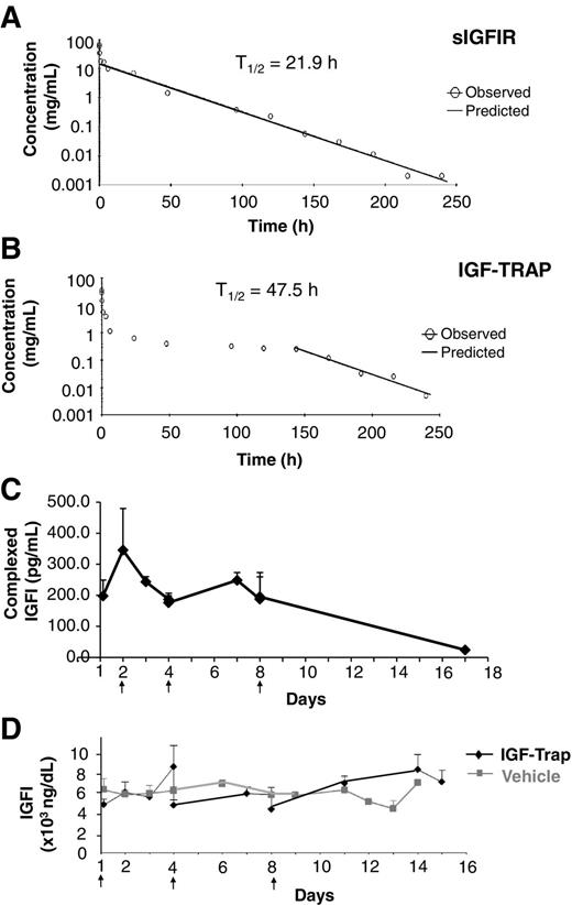 Figure 3. Pharmacokinetic properties and the effect of the sIGFIR and the IGF-Trap on circulating IGFI. Mice were injected intravenously with 10 mg/kg of the purified and LPS-free sIGFIR (A) or 10 mg/kg (A–C) or 5 mg/kg (D) of the IGF-Trap. Soluble IGFIR levels (A and B), IGF-Trap complexes (C), and plasma IGFI (D) were analyzed by ELISA. The results are based on 3 plasma samples per time point. Shown in A and B are results based on 3 serum samples per time point that were analyzed using the PK software (see additional data in Supplementary Table S3). Results in C are mean (± SE) of three measurements per time point and represent net values after deduction of background levels that were detected in vehicle-treated mice (35–57 pg/mL). Results in D are expressed as mean (± SE) of 3 plasma samples per time point. On days 4 and 8, blood was collected and plasma IGFI concentrations (D) were measured 20 minutes before and 1 hour after IGF-Trap injection.