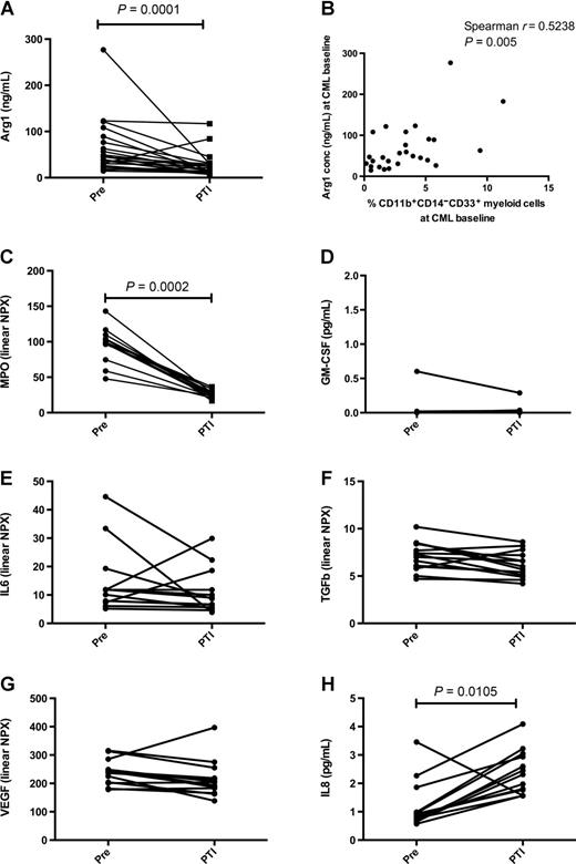 Figure 2. Arg1 and MPO after TKI treatment. Expression of cytokines connected to myeloid suppressor cells. Plasma samples at pre and 6 months PTI were analyzed for Arg1 using ELISA (A) where after the Arg1 level pretreatment was correlated to CD11b+CD14−CD33+ myeloid cells at base line (B). Plasma samples were further analyzed for MPO (C), GM-CSF (D), IL6 (E), TGFβ (F), VEGF (G), and IL8 (H) before and at 3 months PTI using ProSeek (C–G) and MesoScale (H). NPX, normalized protein expression. Statistical significances were calculated using Wilcoxon test for paired samples. P values <0.05 were considered significant. Error bars, median with interquartile range.