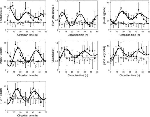 Figure 2. Circadian rhythms of gene expression in synchronized Caco-2 cells. The mRNA levels of 3 clock genes (PER2, REV-ERBα, BMAL1) and 4 genes involved in irinotecan PK–PD (CES2, ABCB1, UGT1A1, TOP1) displayed circadian variations in control (black circles) but not in BMAL1 siRNA-transfected cells (white circles). Experimental results are mean ± SEM of 12 samples from 4 independent experiments. Solid curves represent the best fit of a damped cosine model [equation (1), see Supplementary Table S1, for parameter values).