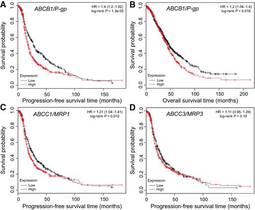 Figure 1. Correlation between P-gp expression and ovarian cancer patient survival using two datasets. The cut-off level of expression dividing the high or low groups was calculated by an algorithm of the Kaplan–Meier plotter. A, progression-free survival (PFS) analysis of P-gp/ABCB1 gene (n = 1,106; log-rank: P = 1.3 × 10−5). The cut-off level was determined at 43 to divide high (n = 420) and low (n = 686) groups. B, overall survival (OS) analysis of ABCB1 gene, which encodes for the P-gp protein (n = 1,339; log-rank: P = 0.016). The cut-off level was determined at 64 to divide high (n = 520) and low (n = 819) expression groups. C, PFS analysis of MRP1/ABCC1 gene, which encodes for the MRP1 protein (n = 1,056; log-rank: P = 0.012). The cut-off level was determined at 393 to divide high (n = 595) and low (n = 461) expression groups. D, PFS analysis of MRP3/ABCC3 gene (n = 1,056; log-rank: P = 0.19). The cut-off level was determined at 101 to divide high (n = 653) and low (n = 403) expression groups.