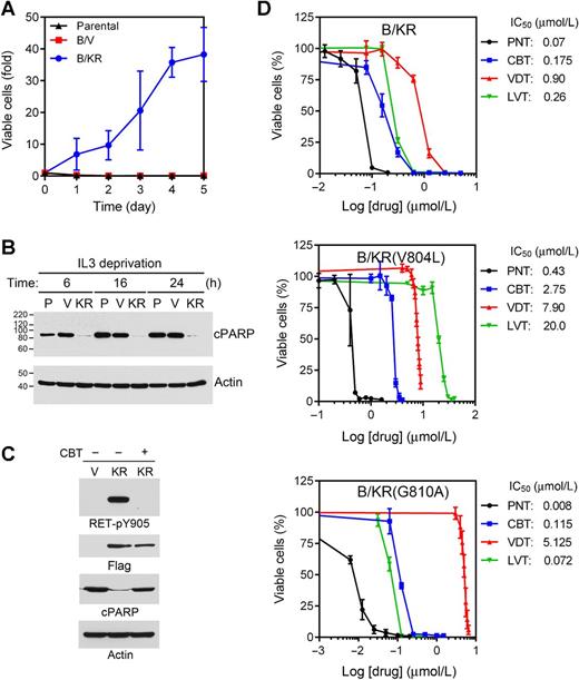 Figure 4. Ponatinib is the most potent KIF5B–RET inhibitor and the vandetanib-resistant RETG810A mutation is hypersensitive to ponatinib. A, growth curve of parental, vector control (B/V), and stable BaF3 cells expressing KIF5B-RET (B/KR) without IL-3. B, cells were grown in medium without IL-3 for 6, 16, 24 hours. The cell lysates were immunoblotted with anti-cleaved PARP or anti–β-actin. P, parental; V, vector control; KR, KIF5B-RET. C, vector control and KIF5B-RET cells were treated with or without 1 μmol/L cabozantinib (CBT) for 3 hours. The cell lysates were immunoblotted with anti–RET-pY905, anti-Flag, anti-cleaved PARP, or anti–β-actin. D, Ba/F3 expressing KIF5B-RET, KIF5B-RETV804L, or KIF5B-RETG810A were seeded on 96-well plates and treated with indicated concentration of ponatinib (PNT), cabozantinib (CBT), vandetanib (VDT), or lenvatinib (LVT) for 5 days. Cell viability was measured using the CellTiter-Glo assay and IC50s were determined. The data were from two triplicate experiments (n = 6).