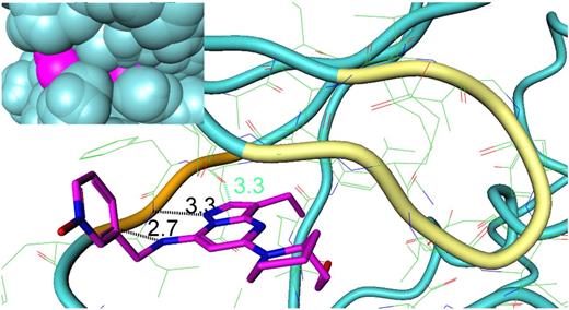 Figure 3. Binding mode for dinaciclib. Crystal structure of pCDK2/cyclin E with dinaciclib (PDB 5L2W). The G-loop is colored in yellow and the hinge region in orange. Inserted figure represents the surfaces for pCDK2 in blue and dinaciclib in purple.