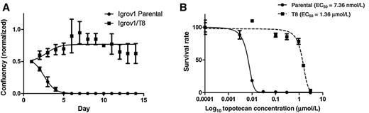 Figure 1. Growth and survival of Igrov1 and Igrov1/T8 cells in the presence of topotecan. A, Igrov1 and Igrov1/T8 cells were incubated in the presence of 950 nmol/L topotecan, and percent confluency was estimated under light microscopy over a period of 14 days. The resistant cells were split on day 7 due to cellular overgrowth. The average values with SD are shown; n = 3. B, Igrov1 and Igrov1/T8 cells were incubated in the presence of 0, 3 nmol/L (Igrov1), 10, 30, 100, 300 nmol/L, 1 μmol/L (Igrov1/T8), and 3 μmol/L concentration of topotecan. The cells in each concentration were counted on day 7, and the percent viability of the cells at each concentration was calculated normalizing to the cell count at 0 nmol/L topotecan. The EC50 was extrapolated by fitting the data to a sigmoidal dose–response curve. Average values with SD are shown; n = 2.