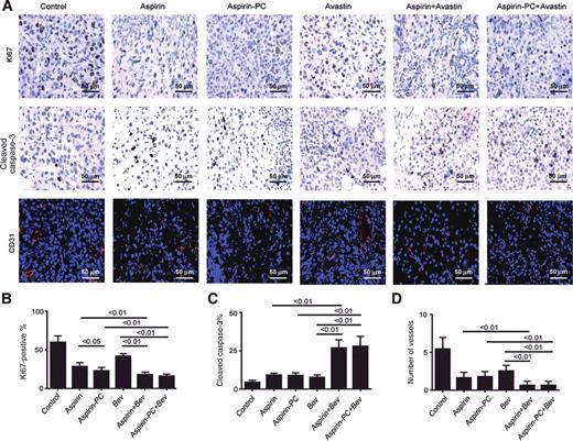 Figure 3. Immunohistochemical and IF staining in the HeyA8 model. A, immunohistochemical staining showing the effects of aspirin, Aspirin-PC, Bev, and the combination on cell proliferation (Ki67), apoptosis (cleaved caspase-3), and MVD (CD31) in the HeyA8 model. B, statistical analysis for Ki67. C, statistical analysis for cleaved caspase-3. D, statistical analysis for CD31. *, P < 0.05; **, P < 0.01. Original magnification, ×200.