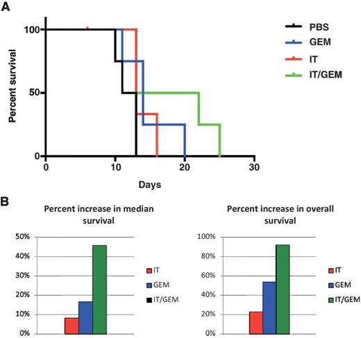 Figure 6. Combination IT-139 and GEM treatment significantly extends both median and overall survival. A, IT-139/GEM combination treatment increased percent survival in mice n = 16. B, IT-139/GEM combination treatment increased median and overall survival in mice.