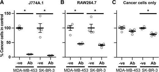Figure 1. Macrophages reduce breast cancer cell viability in the presence of trastuzumab. J774A.1 (A) or RAW264.7 (B) macrophages were plated in 48-well plates with MDA-MB-453 or SK-BR-3 breast cancer cells at a 4:1 effector:target cell ratio (2.5 × 104:6.25 × 103 cells), and 1 μg/mL trastuzumab (Ab) or PBS vehicle (−ve) was added 24 hours later. Following 72 hours, cells were harvested, and the remaining number of cancer cells was quantitated by flow cytometry. The number of live cancer cells in each sample is shown as a fraction of the corresponding vehicle control. C, cell numbers following incubation of cancer cells as in A and B, but without macrophages. Error bars, SEs. The Student t test was performed to indicate statistical significance (*, P < 0.05).
