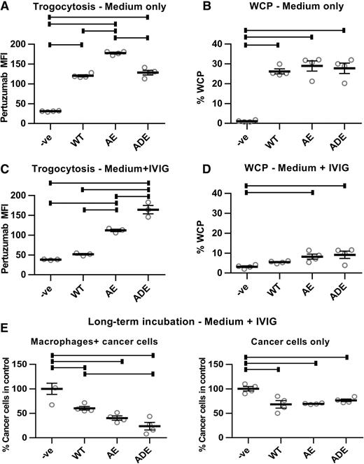 Figure 5. Antibodies with enhanced affinity for activating FcγRs have increased trogocytic and cell-killing activity. A, thioglycollate-elicited macrophages isolated from C57BL/6 mice transgenically expressing human FcγRs (hFcγR macrophages; 26) were plated with MDA-MB-453 cells at an effector:target ratio of 0.4:1 (4 × 104:1 × 105 cells). Eighteen hours later, 1 μg/mL WT trastuzumab or engineered trastuzumab variants with enhanced affinity for FcγRIIa and FcγRIIIa (AE and ADE), combined with 0.5 μg/mL Alexa 488–labeled Fab fragments derived from pertuzumab, were added to the cocultures for 60 minutes. As controls, cells were also cocultured without trastuzumab (−ve). The mean fluorescence intensity (MFI) values for pertuzumab Fab staining in the macrophage population are shown. B, WCP assay was performed as before using hFcγR macrophages plated for 18 hours, followed by addition of 10-fold lower numbers of cancer cells and 10 μg/mL WT, AE, or ADE trastuzumab variants for 6 hours. Trogocytosis (C) and WCP (D) assays were performed as in A and B, but in the presence of 10 mg/mL IVIG. Under the conditions of the trogocytosis assays (60-minute incubation), phagocytosis of cancer cells was at background, control levels (data not shown). E, hFcγR macrophages were plated with cancer cells at an effector:target cell ratio of 2:1 (5 × 104:2.5 × 104 cells) or cancer cells alone for 24 hours, followed by addition of 10 mg/mL IVIG and 10 μg/mL WT, AE, or ADE variants of trastuzumab. The medium was replaced by new medium containing the same additions after 3 days. Cells were harvested after 5 days, and the remaining numbers of cancer cells quantitated. Error bars, SEs. For A–E, one-way ANOVA analyses were carried out followed by a Tukey's multiple comparisons test between all sample pairs with a confidence interval of 95%. Horizontal lines indicate significant differences between sample pairs.