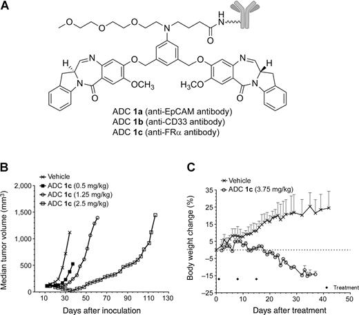A New Class of Antibody–Drug Conjugates with Potent DNA Alkylating ...
